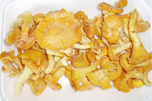 Chanterelles المجمدة