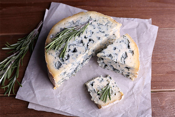 כיצד לבחור ולאחסן גבינה כחולה