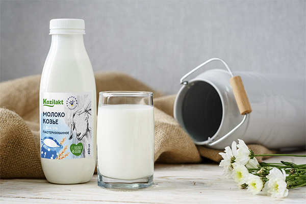 היתרונות והפגמים של חלב עיזים