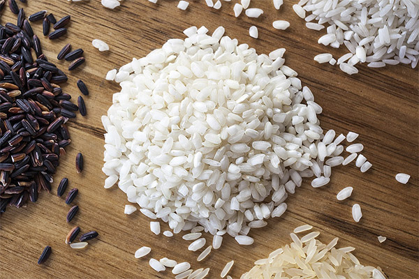 עובדות מעניינות על אורז