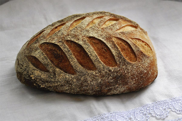 איך להכין לחם ללא שמרים