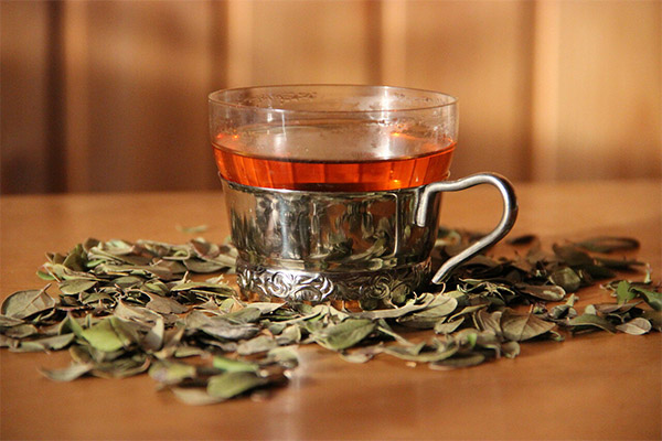 היתרונות והנזקים של התה מעלי לינגונברי