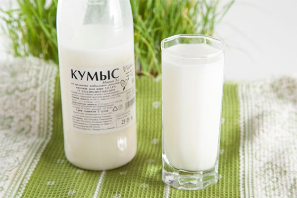 אילו מוצרי חלב אסור וצריכים לצרוך עם גאוט