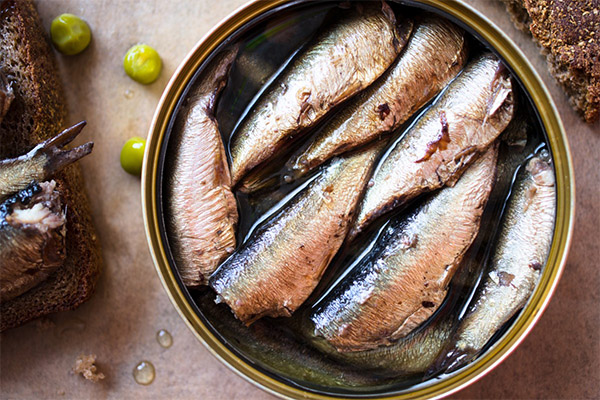 Els avantatges i els perjudicis de les sardines en conserva