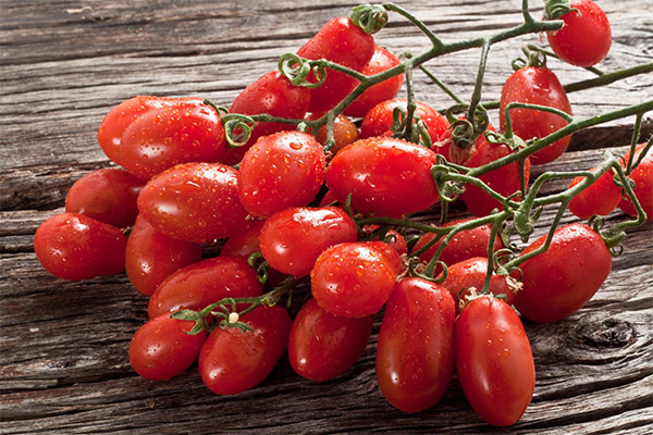 היתרונות והנזקים של עגבניות שרי