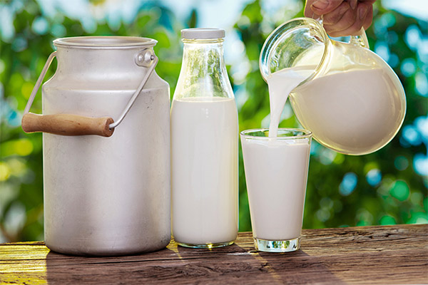 כיצד לזהות חלב עיזים טבעי
